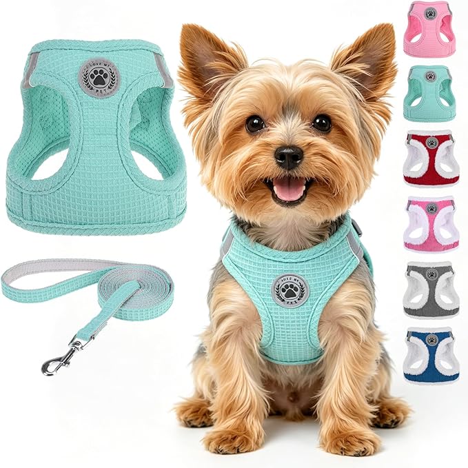 BEAUTYZOO Waffle Dog Harness Small Sized, No Pull Small Dog Harness and Leash Set, All Weather Soft Mesh Light Harness for...