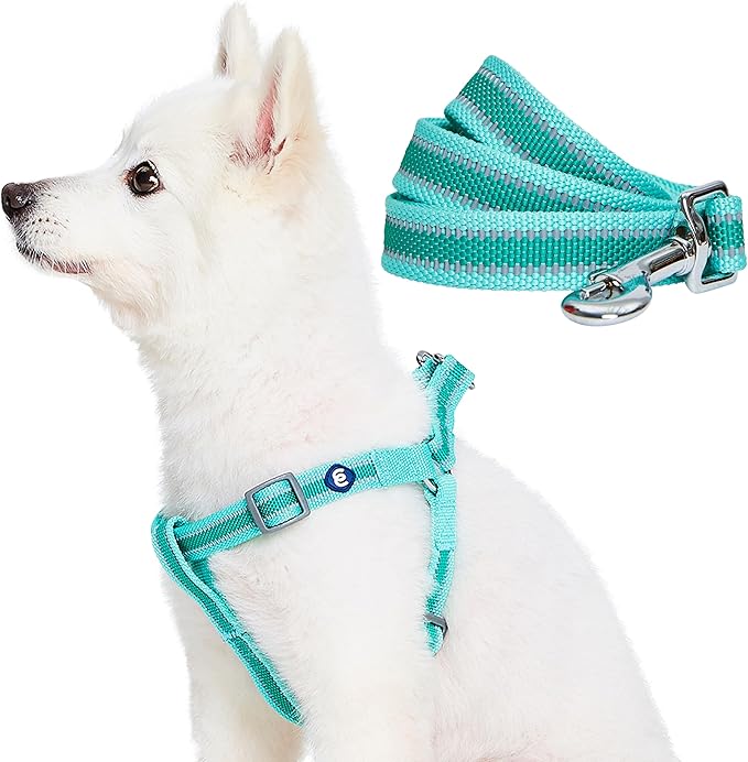 Blueberry Pet Essentials Reflective Back to Basics Matching Dog Harness and Leash Set, Minty Green, Adjustable Harness wit...