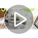 Der Rose Set of 6 Succulents Plants Artificial in Pots Small Fake Plants for Bedroom Aesthetic Living Room Shelf Bathroom ...