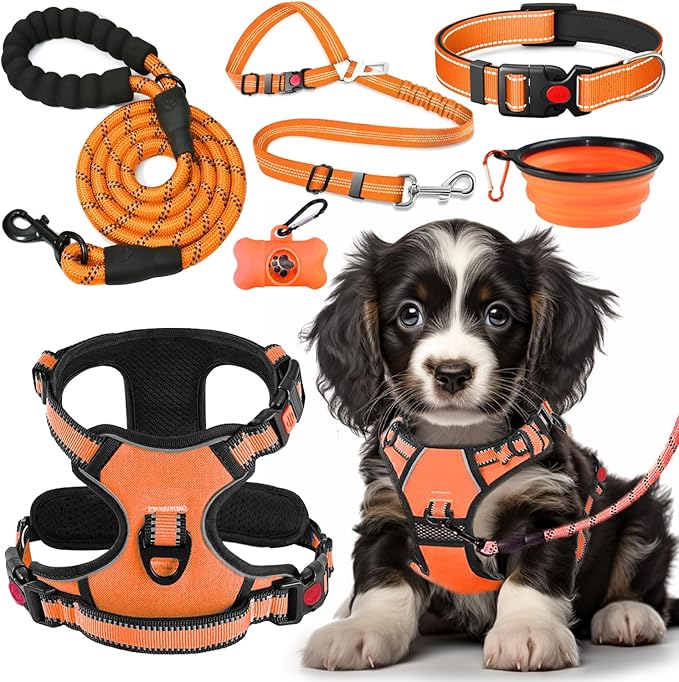 LOBEVE No Pull Dog Harness, Collar & Leash Set | Includes Dog Seat Belt, Collapsible Bowls & Poop Bag Dispenser. Ideal for...