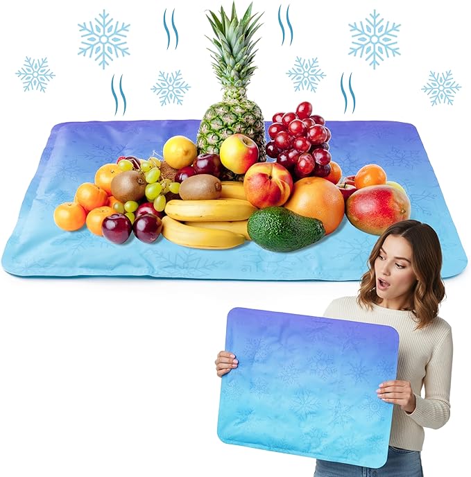 MALLMALL6 Reusable Freezable Ice Mat - 2Pcs Cooling Keeping Food Fresh Serving Tray for Outside Picnic Party Buffet, 19.7 ...