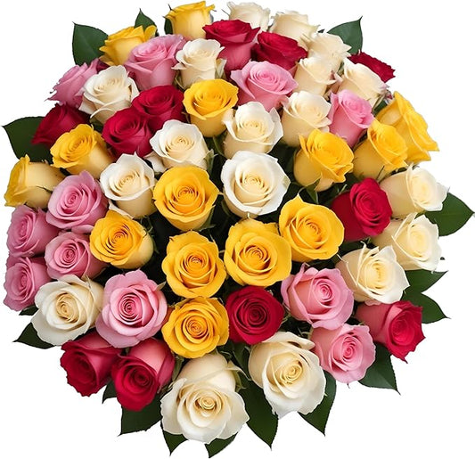 50 Rainbow Roses Assorted Mixed Color | Bulk Roses by Arabella Bouquets | Real Fresh Flowers for Delivery, Gift for Birthd...