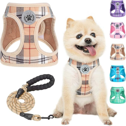 BEAUTYZOO Small Dog Harness and Leash Set,Step in No Choke No Pull Soft Mesh Dog Harnesses Reflective for Extra-Small Medi...