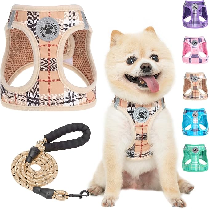 BEAUTYZOO Small Dog Harness and Leash Set,Step in No Choke No Pull Soft Mesh Dog Harnesses Reflective for Extra-Small Medi...