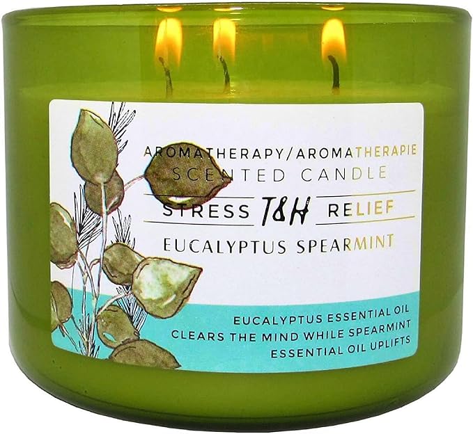 Eucalyptus Spearmint Scented Candle | 15.8 oz Large 3 Wick Soy Candle | Soothing Aromatherapy Candle for Home | Fresh Spa ...