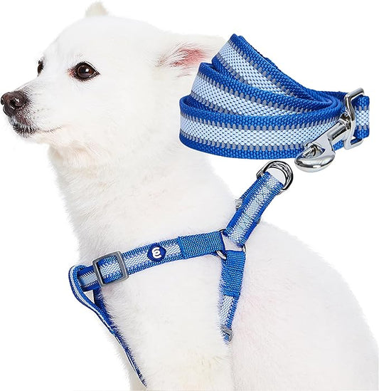 Blueberry Pet Essentials Reflective Back to Basics Matching Dog Harness and Leash Set, Navy Blue, Adjustable Harness with ...