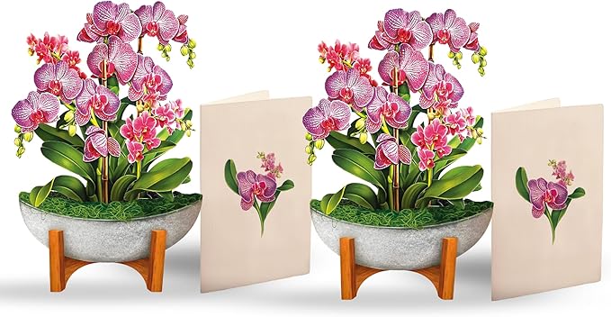 Freshcut Paper Pop Up Cards, Mini Orchid Oasis (Set of 2), 6 Inch Mini Sized Forever Flower Bouquet 3D Popup Greeting Card...