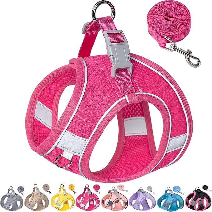 Aecllcea Dog Harness for Small Medium Sized Dog, Puppy Harness and Leash Set Training, Dog Harness and Leash Set, Dog Vest...