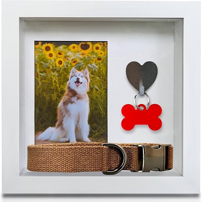 Green Pollywog Pet Memorial Shadowbox with Photo, Tag & Collar Display | White Frame with 4” x 6” Picture Opening | 10” x ...