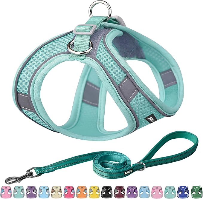 AIITLE Dog Harness, No-Pull Cat Harness with a Leash, Adjustable Reflective Dog Vest, Cat Harness Escape Proof, Outdoor Wa...