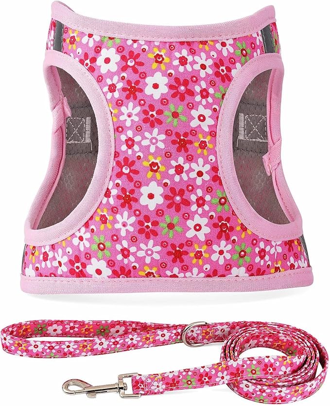 Moonpet Step in Dog Harness Leash Set- All Weather Reflective No-Pull Floral Pattern Padded Mesh Vest Harness for Cats Pup...