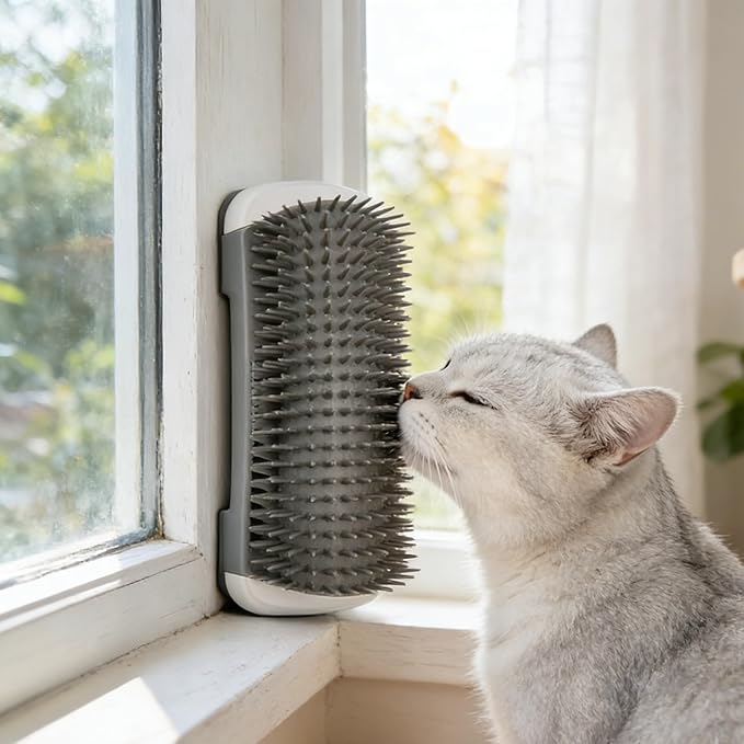 Self Cleaning Pet Grooming Brush - Wall Mounted Reusable Cat & Small Dog Groomer with Adhesive, Durable PP Plastic Comb, S...