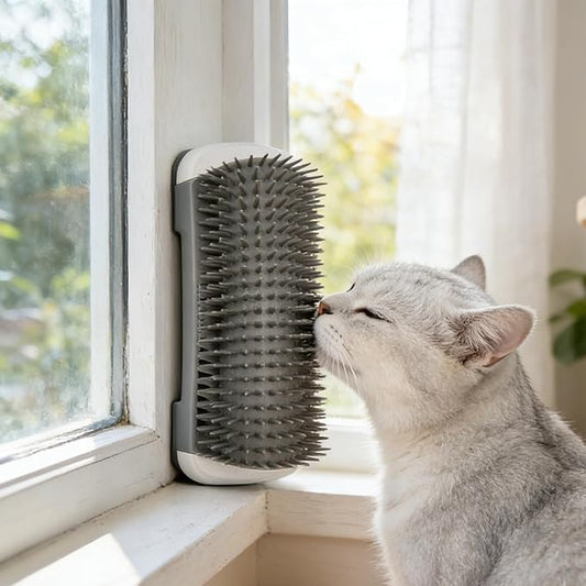 Self Cleaning Pet Grooming Brush - Wall Mounted Reusable Cat & Small Dog Groomer with Adhesive, Durable PP Plastic Comb, S...