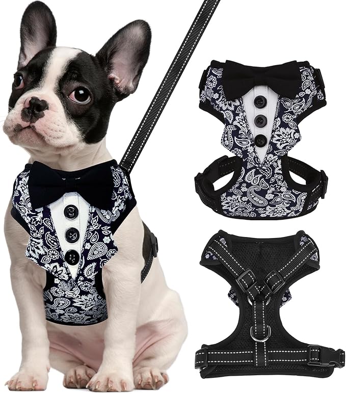BINGFPET Dog Tuxedo Harness for Small Medium Dogs, No Pull Dog Harness and Leash Set,Soft Padded Mesh Step-in Dog Vest Tux...