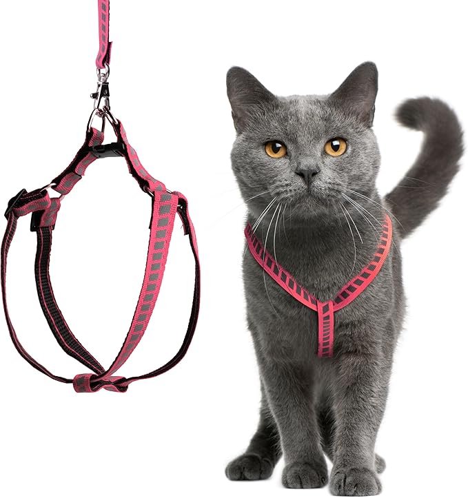Filbert Cat Harness and Leash Set with Reflective Strip, Thin Cat Harness Escape Proof with Leash, Step-in, Adjustable, In...