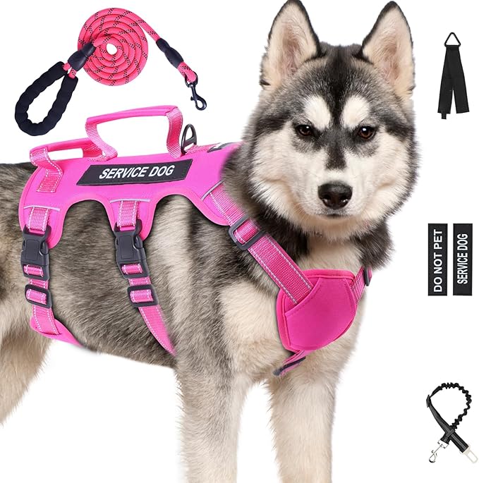 Escape Proof Dog Harness for Large Medium Sized Dogs Six Point Adjustable, Service Dog Vest Harness and Leash Set, No Pull...