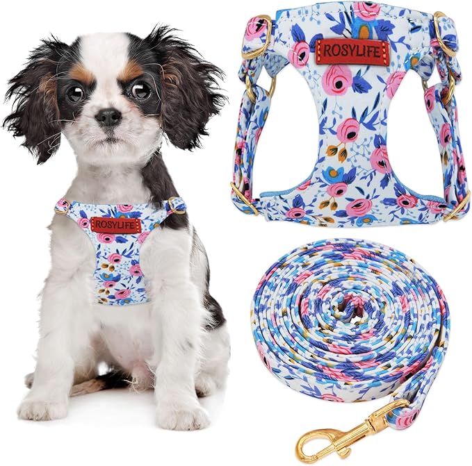 No Pull Dog Harness Adjustable Small Dog Harness and Leash Set, Lightweight and Soft Dog Harness No Choke Escape Proof Pet...