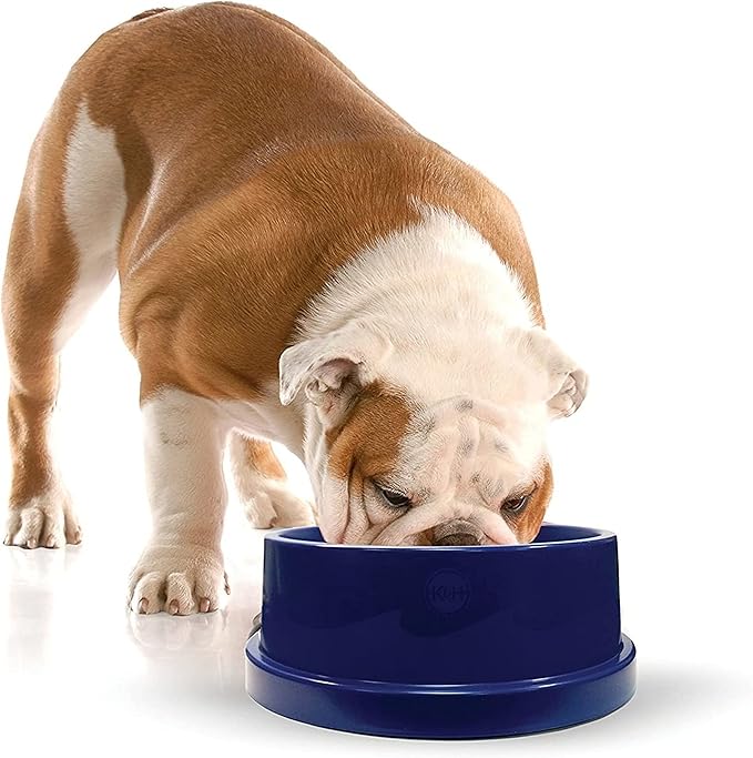 K&H Pet Products Coolin' Dog Water Bowl, Summer Cooling Water Bowl for Small, Medium & Large Dogs & Cats, Indoor Outdoor I...
