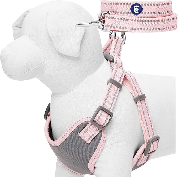 Blueberry Pet Matching Reflective Harness and Leash Set | Adjustable Pastel Vest with Lead for Dogs – Great Value Gift Set...