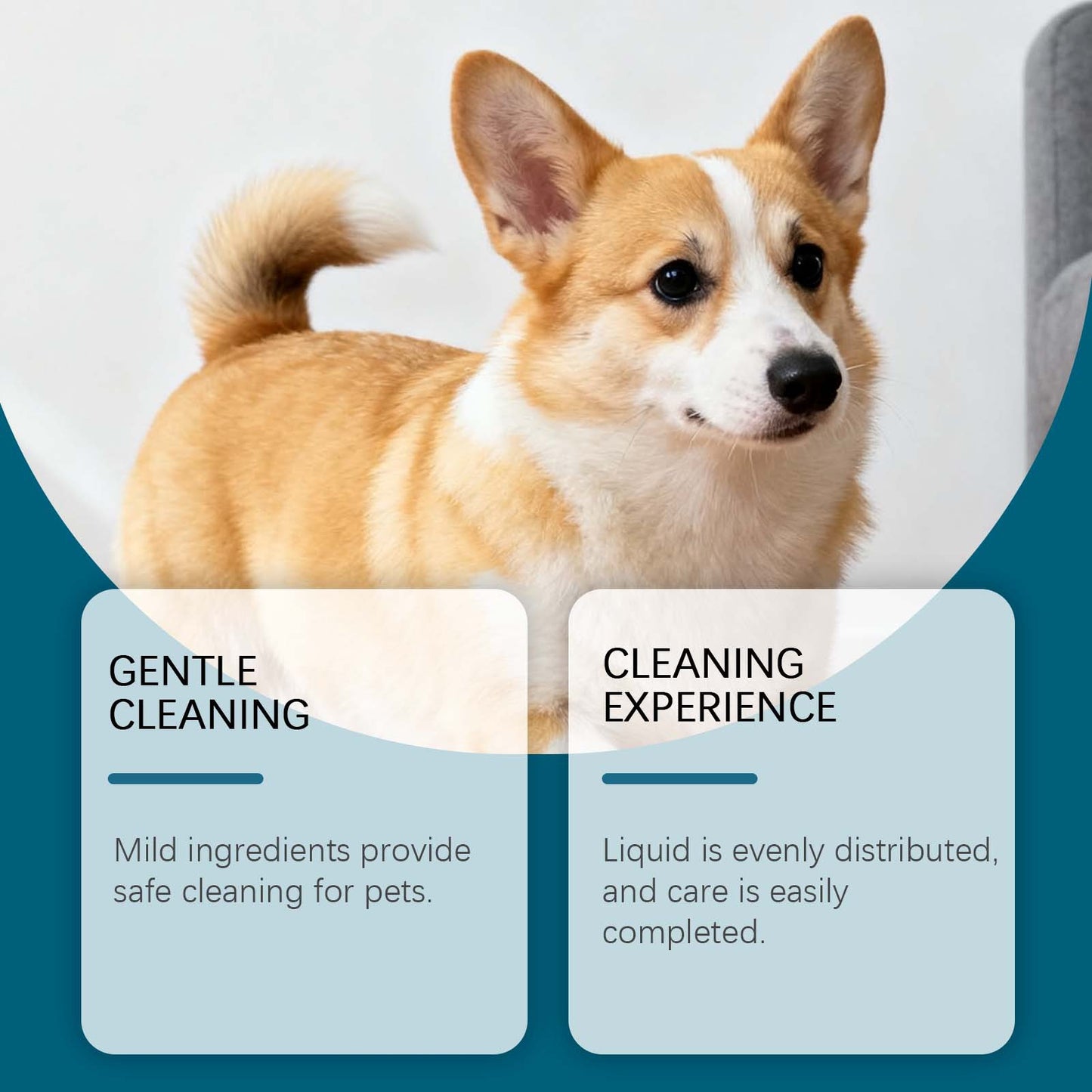 Dog Ear Care Drops