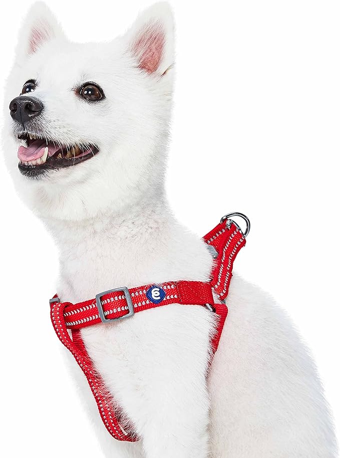 Blueberry Pet Essentials Step-in Reflective Back to Basics Dog Harness, Rouge Red, Chest Girth 16.5" - 21.5", Small, Adjus...