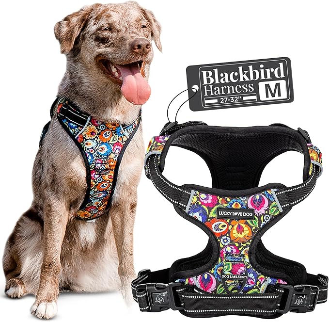 Lucky Love Dog No Pull Dog Harness, Adjustable and Easy to Walk, Cute Patterned Harness for Medium Male & Female Dogs - Bl...