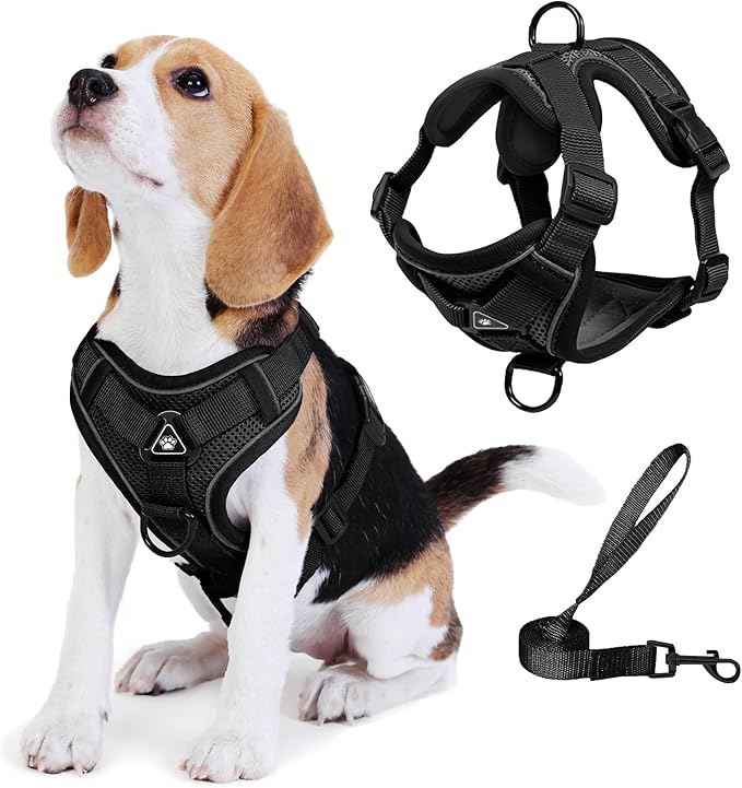 Jolifield No Pull Dog Harness with Leash Set for Small Sized Dog, Reflective Adjustable No Choke Cat Vest HarnessSoft Padd...