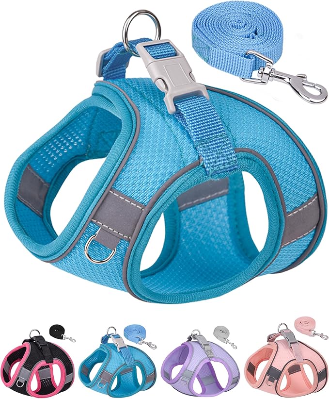 Aecllcea Dog Harness for Small Medium Sized Dog, Step in Puppy Harness and Leash Set Training Walking. (Blue, XXS)