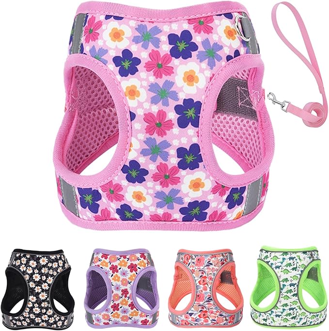 Small Dog Harness and Leash Set, Step in Dog Harness No Pull for Walking Running Training, Puppy Essentials for Dogs Cat B...