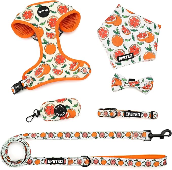 EPETKO Small Dog Harness and Leash Set of 6, No Pull Soft Lightweight Mesh Puppy Harness， Adjustable Cute Floral Pattern P...