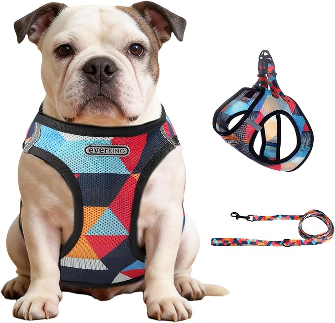 EVERKING Breathable Mesh No-Pull Dog Harness & Leash Set for Small Dogs, Reflective Trim for Safety – Comfortable Vest Des...