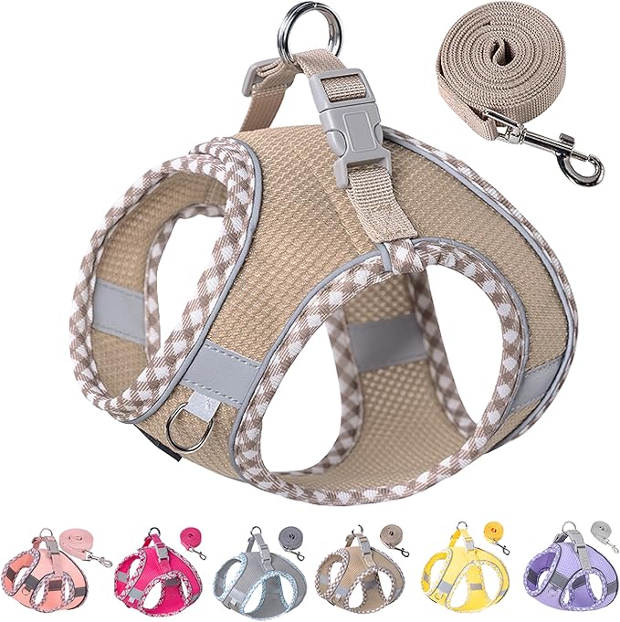 Petank Dog Harness for Small Medium Dogs No Pull, Puppy Harness and Leash Set for Walking, Running, Training, Small Dog Ha...