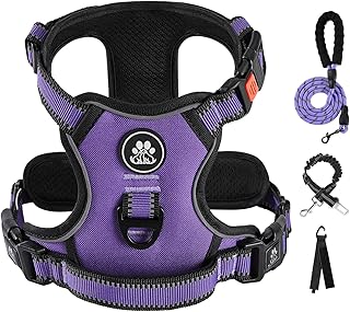 IVY&LANE No Pull Dog Harness for Medium Dogs, Dog Vest Harness with Leash, Safety Belt and Storage Strap, Fully Adjustable...