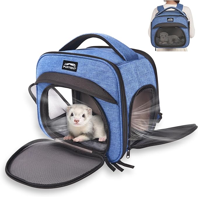 Small Pet Carrier, Breathable Collapsible Pet Bag with Safety Leash for Small Puppy, Kitten, Guinea Pig Weighing up to 8 P...