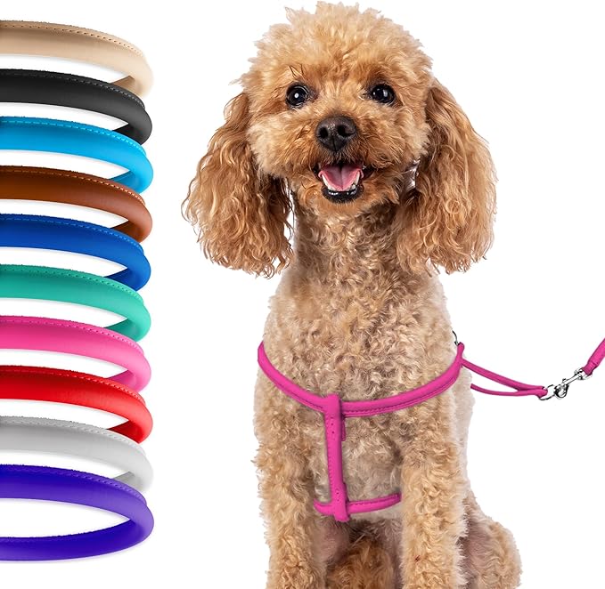 CollarDirect Rolled Leather Dog Harness Small Puppy Step-in Leash Set for Walking Pink Red White Blue Green Black Purple B...