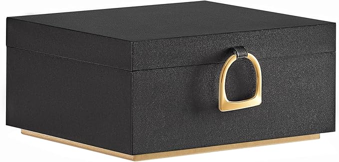 SONGMICS 2-Layer Jewelry Box, Jewelry Organizer with Handle, Removable Jewelry Tray, Jewelry Storage, Floating Effect, 8.1...