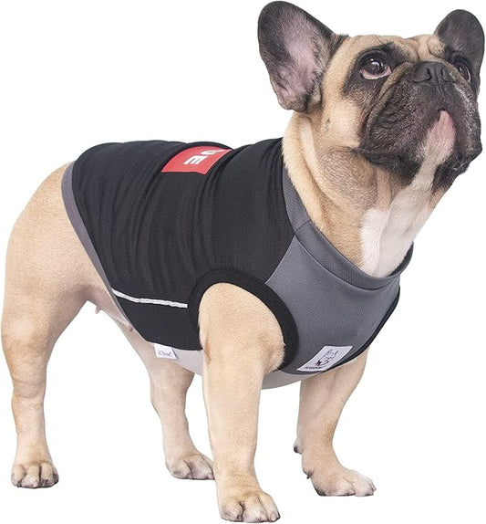 iChoue French Bulldog Summer Cooling Shirt for Dogs UV Sun Protection Vest Sleeveless Stretchy Tank Top English Pug Grey B...