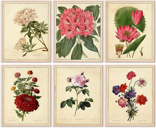 Vintage Botanical Flowers Art Prints (Set of 6) - Unframed - 8x10s | Charming and Classic Floral Decor for Your Home | Liv...