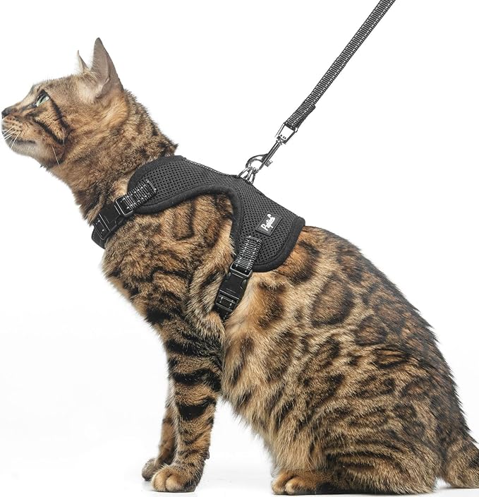 PUPTECK Cat Harness and Leash Set Escape Proof, Reflective Adjustable Soft Mesh Kitten Vest Harness for Walking Travel, Bl...