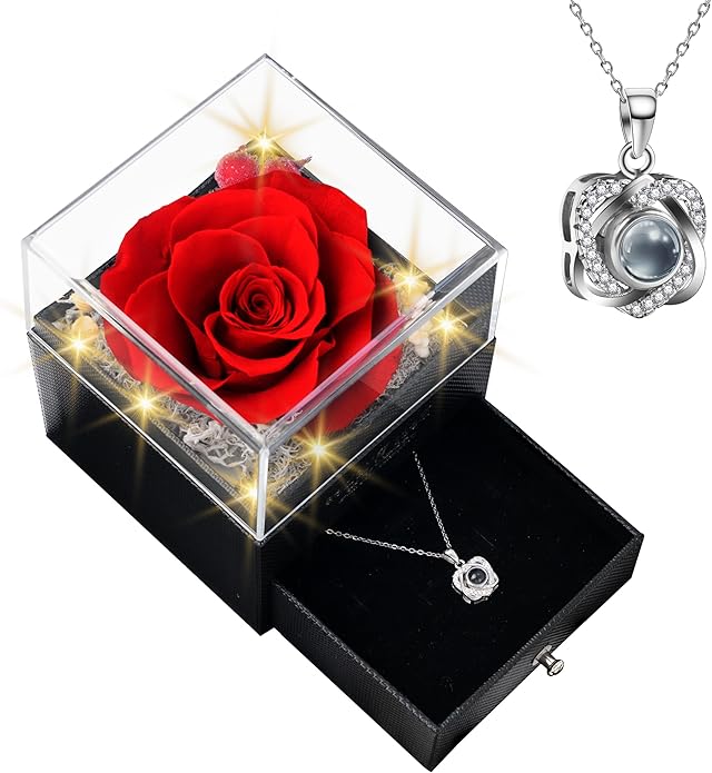I Love You Necklace 100 Languages, Preserved Rose with Necklace, 925 Sterling Silver Rose Necklace for Women Mom Wife Girl...