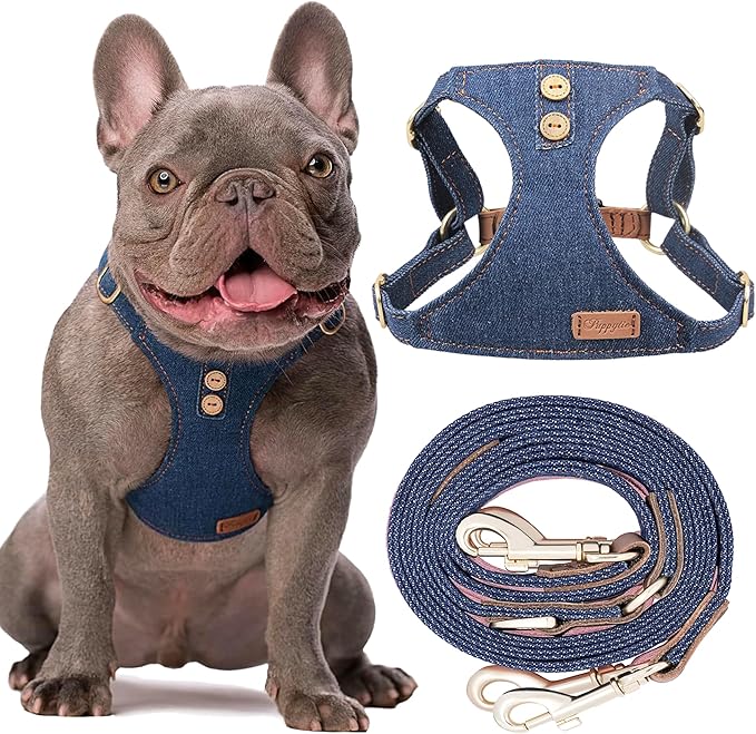 No Pull xs Dog Harness with Multifunction Dog Leash,Soft Adjustable No Choke Escape Proof Pet Harness Vest,Denim Blue,XXS