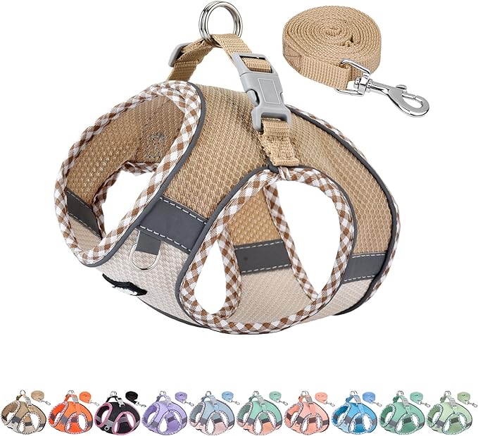 AIITLE XXS Dog Harness & Leash Set - Breathable Reflective No-Choke Small Dog Harness for Teacup Puppies, Indoor/Outdoor U...