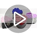 Otuo 16 Preserved Roses in Heart-Shaped Box, Flowers for Delivery Prime Last up 2 Years, Real Forever Flowers for Wife, Gi...