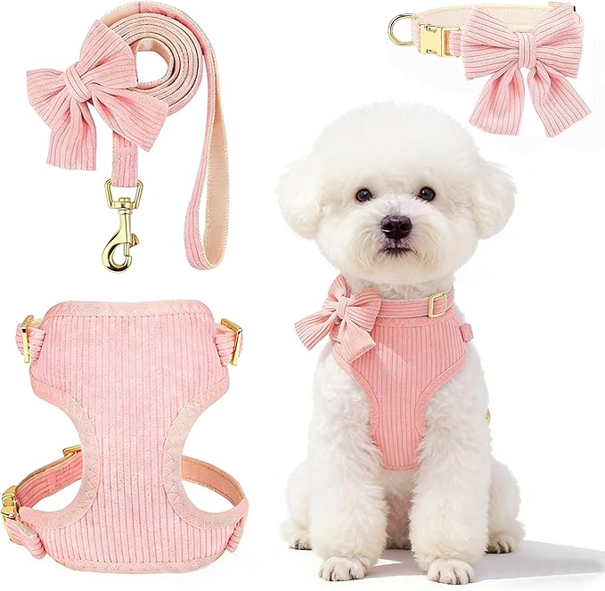 Cute Small Dog Harness Collar and Leash Set with Detachable Bowtie, Adjustable Dog Harness Collar and Leash Set with Secur...