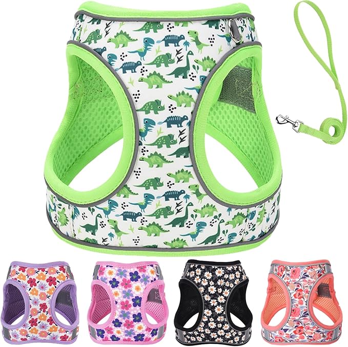 XS Dog Harness and Leash Set, Step in Dog Harness No Pull for Walking Running Training, Puppy Essentials for Dogs Cat Bunn...