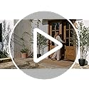 KOL 6ft Artificial Olive Tree Indoor, Tall Faux Olive Trees, Fake Olive Tree Floor Plant for Home Office Living Room Decor...
