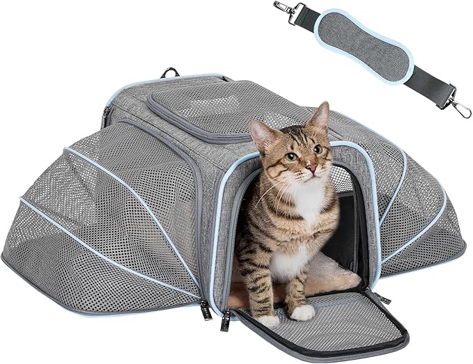Petsfit Expandable Small Cat Carriers Dog Carrier, Airline Approved Soft-Sided Portable Washable Pet Travel Carrier with T...