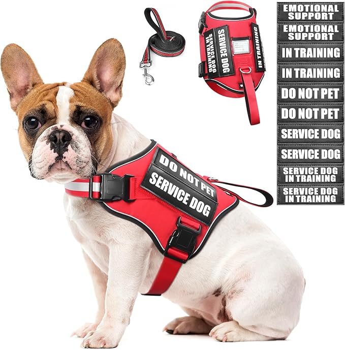 Service Dog Harness and Leash Set, Training Dog Vest with 10 Dog Patches, Emotional Support Therapy Dog Vest Harness for S...