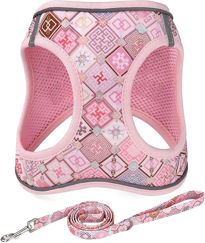 Mihqy Step in Dog Harness and Leash Set, Reflective Adjustable No Pull Dog Harness for Extra-Small/Small Dogs Puppy and Ca...