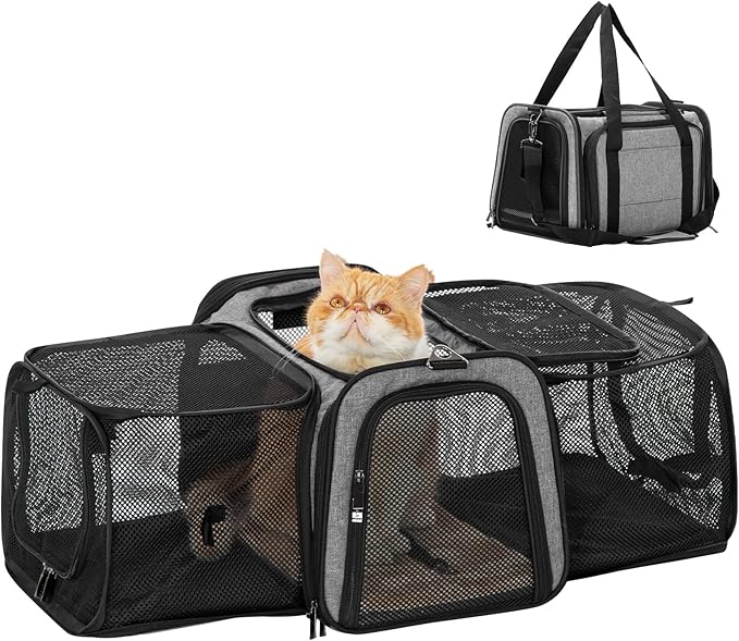 Petsfit 17" x 11" x 11" Airline-Approved Expandable Pet Carrier, 2X Square Expansion Reduces Pet Anxiety, Escape-Proof Sel...